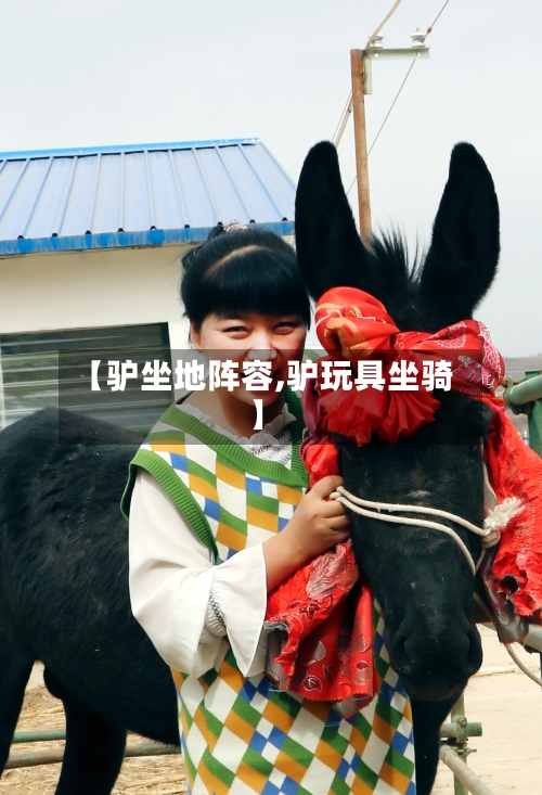 【驴坐地阵容,驴玩具坐骑】