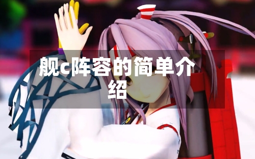舰c阵容的简单介绍