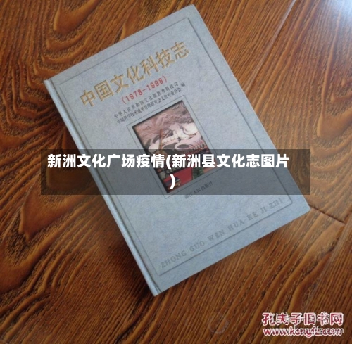 新洲文化广场疫情(新洲县文化志图片)