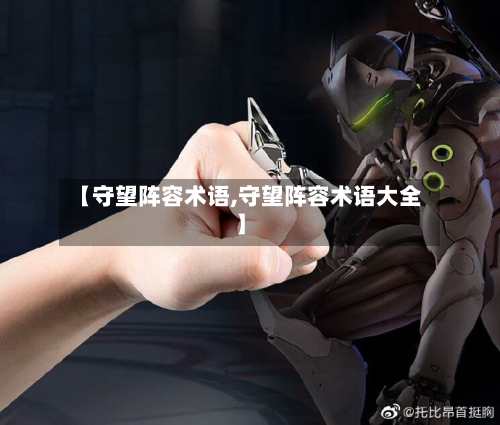 【守望阵容术语,守望阵容术语大全】-第2张图片