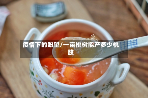 疫情下的盼望/一亩桃树能产多少桃胶-第2张图片