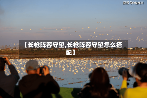 【长枪阵容守望,长枪阵容守望怎么搭配】-第2张图片