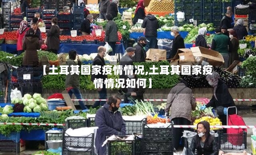 【土耳其国家疫情情况,土耳其国家疫情情况如何】