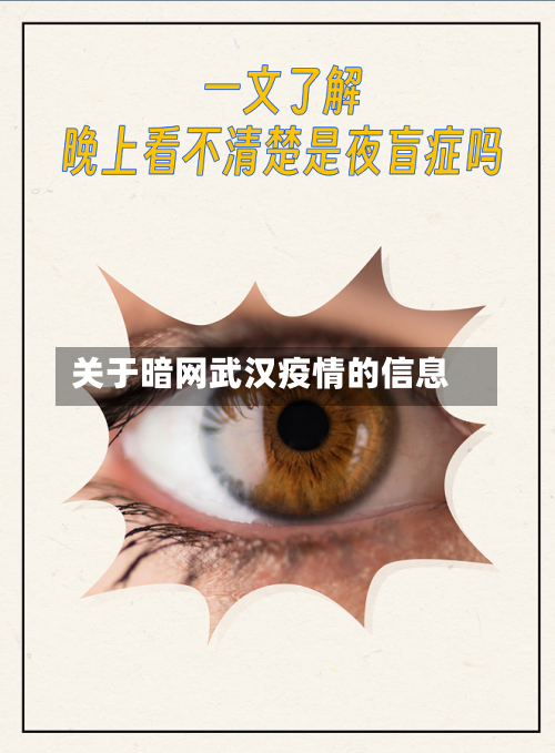 关于暗网武汉疫情的信息-第2张图片