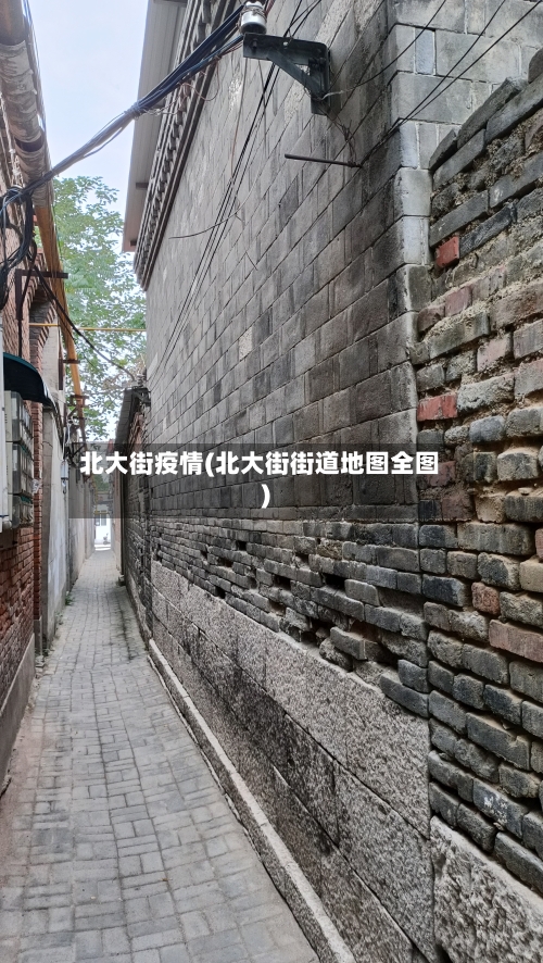 北大街疫情(北大街街道地图全图)