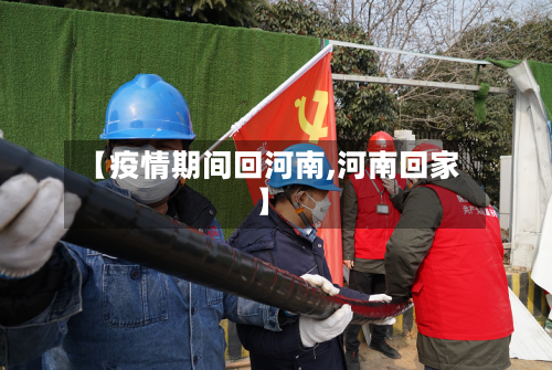 【疫情期间回河南,河南回家】-第3张图片