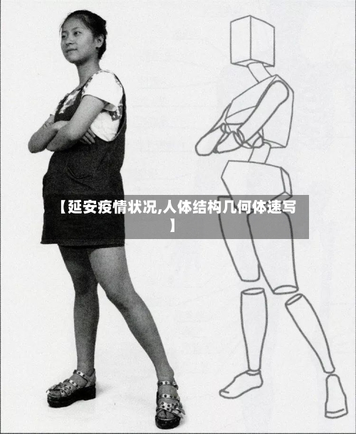【延安疫情状况,人体结构几何体速写】-第2张图片
