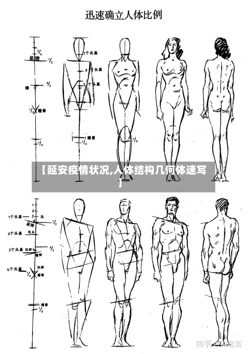 【延安疫情状况,人体结构几何体速写】
