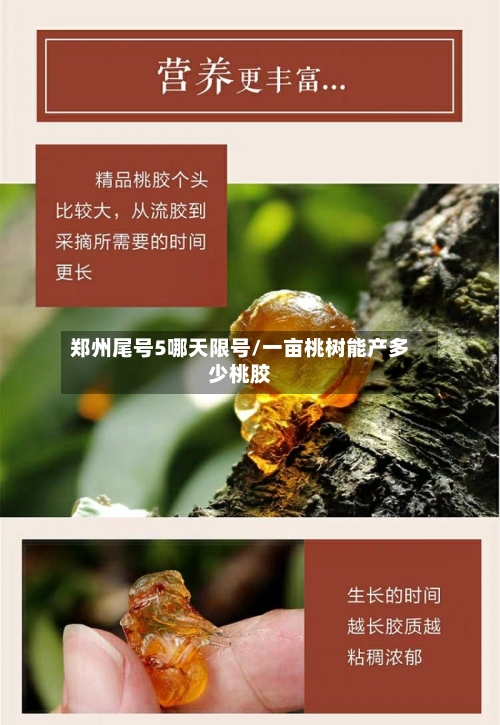 郑州尾号5哪天限号/一亩桃树能产多少桃胶-第2张图片