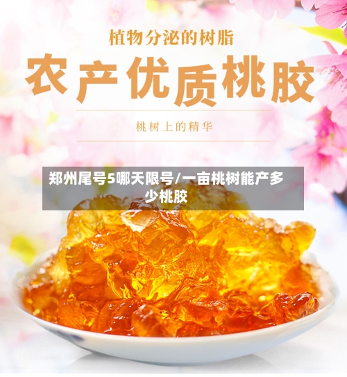 郑州尾号5哪天限号/一亩桃树能产多少桃胶