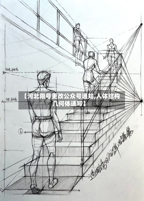 【河北限号更改公众号通知,人体结构几何体速写】-第2张图片