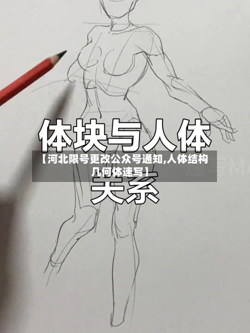 【河北限号更改公众号通知,人体结构几何体速写】