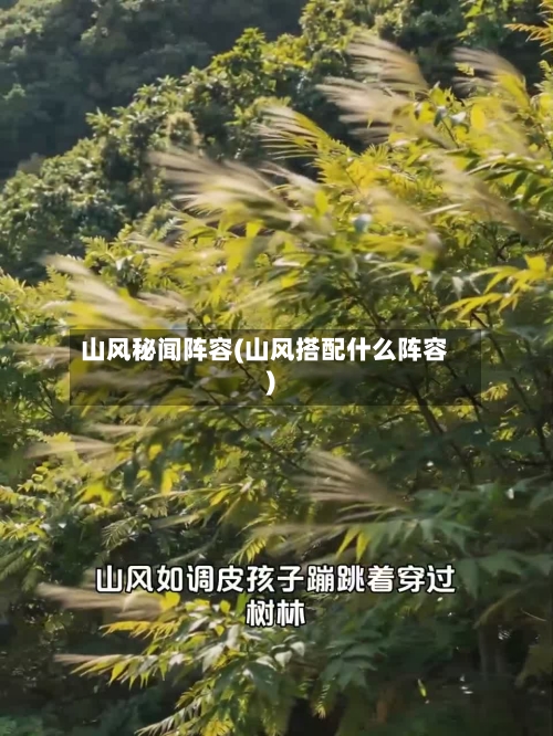 山风秘闻阵容(山风搭配什么阵容)
