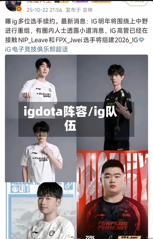 igdota阵容/ig队伍