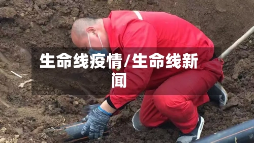 生命线疫情/生命线新闻-第2张图片