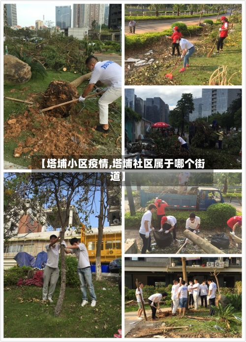 【塔埔小区疫情,塔埔社区属于哪个街道】