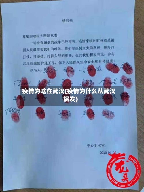 疫情为啥在武汉(疫情为什么从武汉爆发)