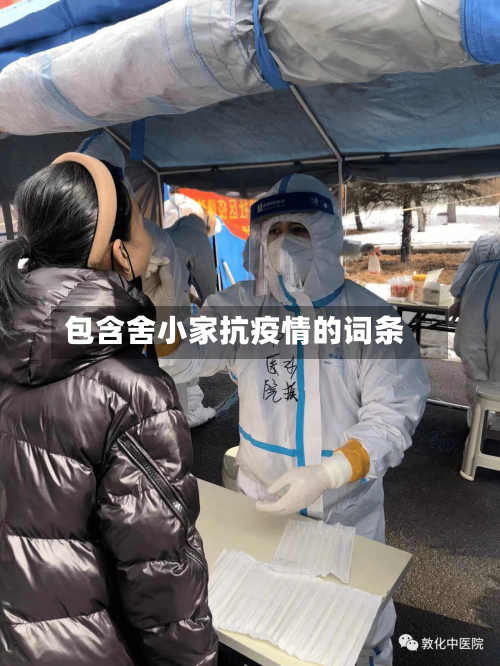 包含舍小家抗疫情的词条