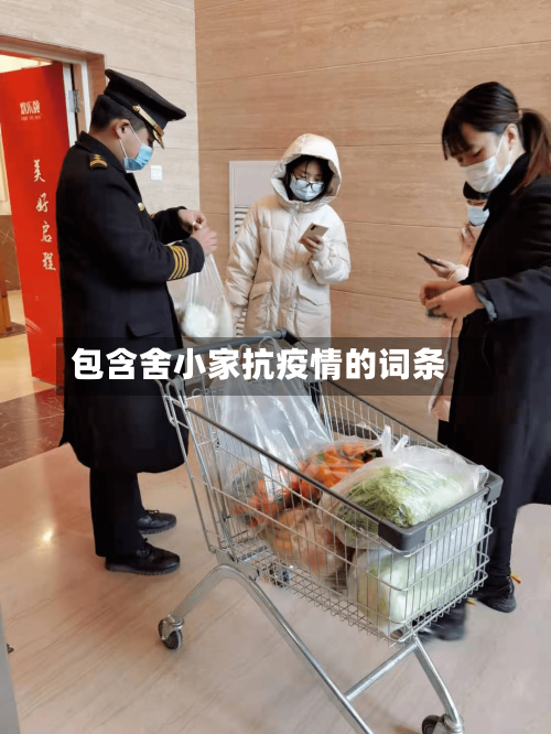 包含舍小家抗疫情的词条-第2张图片