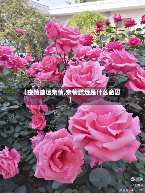 【疫情疏远亲情,亲情疏远是什么意思】
