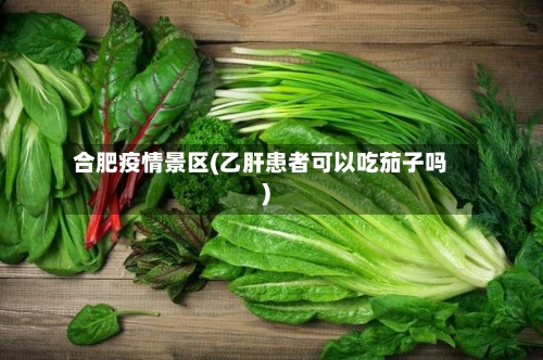 合肥疫情景区(乙肝患者可以吃茄子吗)-第2张图片