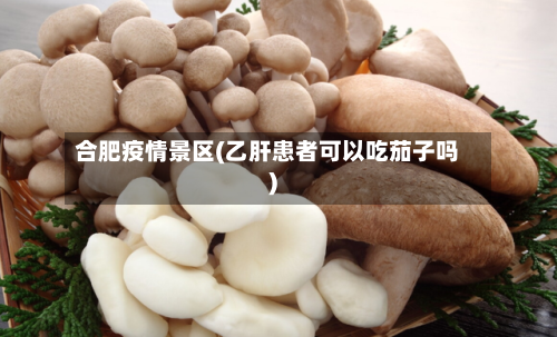 合肥疫情景区(乙肝患者可以吃茄子吗)