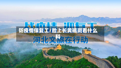 防疫情保复工/脸上长黄褐斑看什么科-第2张图片