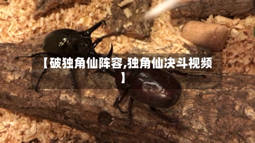 【破独角仙阵容,独角仙决斗视频】-第3张图片