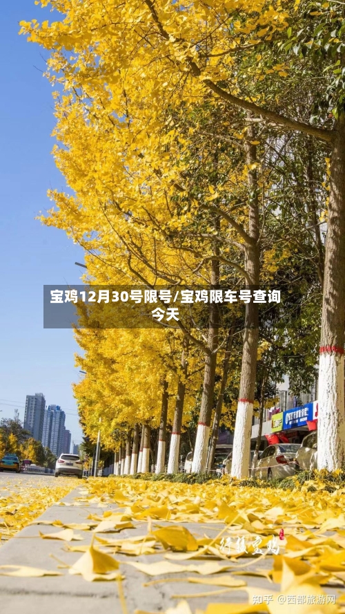 宝鸡12月30号限号/宝鸡限车号查询今天-第2张图片