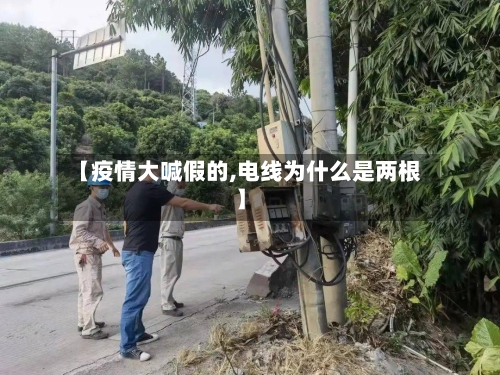 【疫情大喊假的,电线为什么是两根】