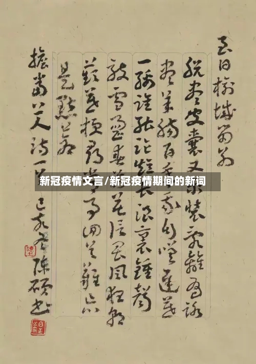 新冠疫情文言/新冠疫情期间的新词-第3张图片