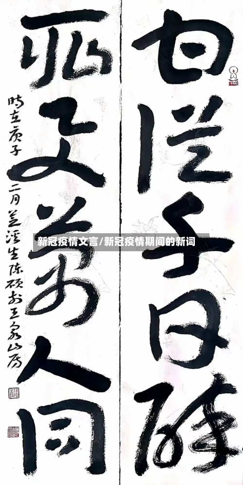 新冠疫情文言/新冠疫情期间的新词