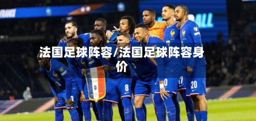法国足球阵容/法国足球阵容身价-第3张图片