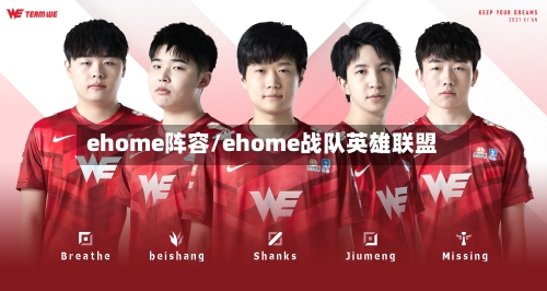 ehome阵容/ehome战队英雄联盟