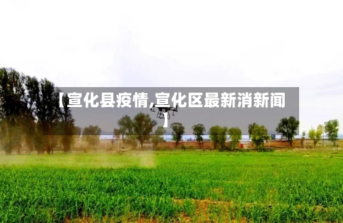 【宣化县疫情,宣化区最新消新闻】-第3张图片