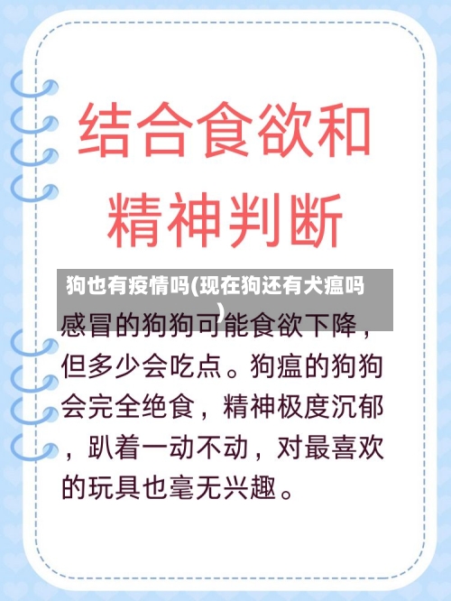 狗也有疫情吗(现在狗还有犬瘟吗)
