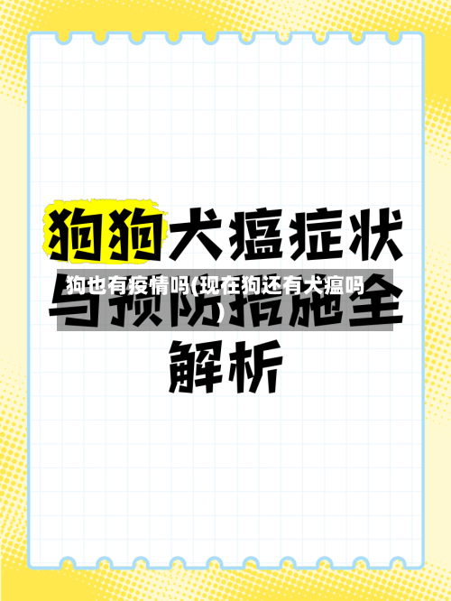 狗也有疫情吗(现在狗还有犬瘟吗)-第3张图片