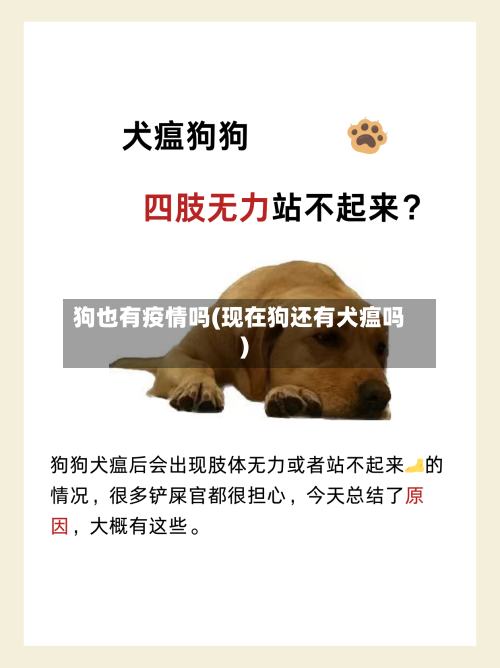 狗也有疫情吗(现在狗还有犬瘟吗)-第2张图片