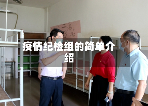疫情纪检组的简单介绍-第2张图片