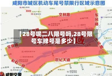 【28号呢二八限号吗,28号限号车牌号是多少】-第3张图片
