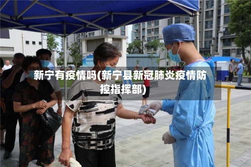 新宁有疫情吗(新宁县新冠肺炎疫情防控指挥部)