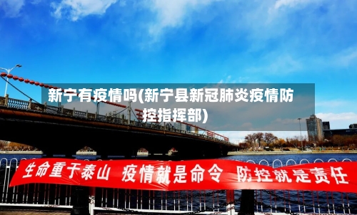 新宁有疫情吗(新宁县新冠肺炎疫情防控指挥部)-第2张图片