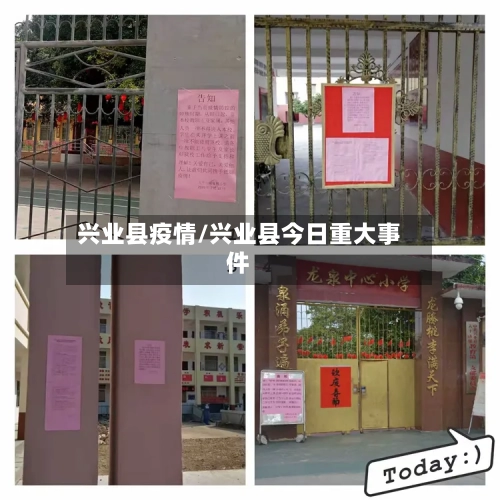 兴业县疫情/兴业县今日重大事件-第2张图片