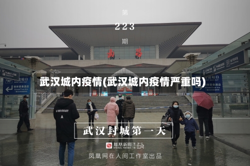 武汉城内疫情(武汉城内疫情严重吗)