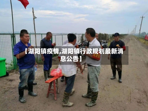 【湖阳镇疫情,湖阳镇行政规划最新消息公告】-第2张图片