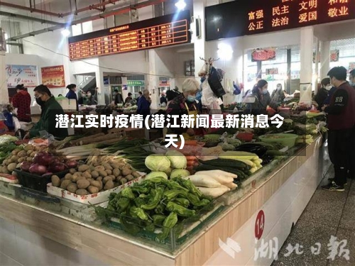潜江实时疫情(潜江新闻最新消息今天)-第2张图片