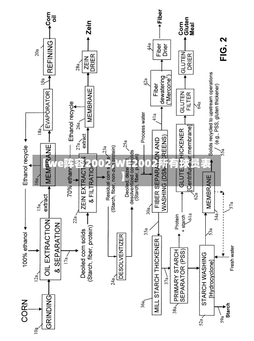 【we阵容2002,WE2002所有球员表】