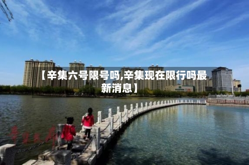【辛集六号限号吗,辛集现在限行吗最新消息】-第2张图片