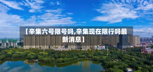 【辛集六号限号吗,辛集现在限行吗最新消息】