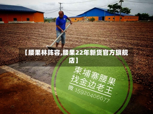 【腰果林阵容,腰果22年新货官方旗舰店】-第3张图片